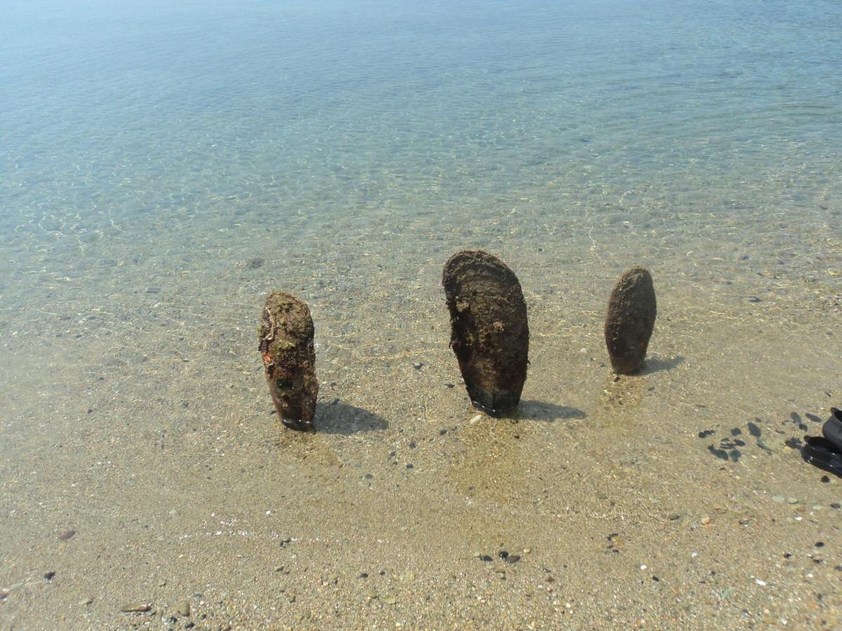 Chiona΄S Apartments By The Sea Paleo Trikeri Zewnętrze zdjęcie
